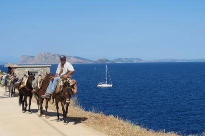 <p>Island cruise to Hydra & Spetses</p>